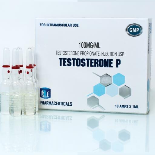 testosterone-p-63159-b.jpg Testosterone P - Image 1